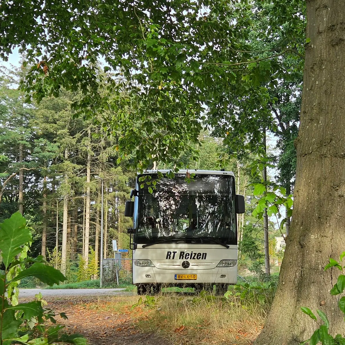 Bus van RT Reizen recht van voren tussen hoge bomen, met de naam en het kenteken in beeld.